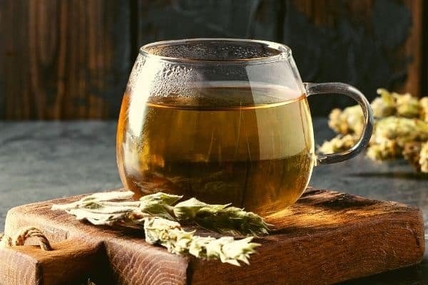 greek mountain tea