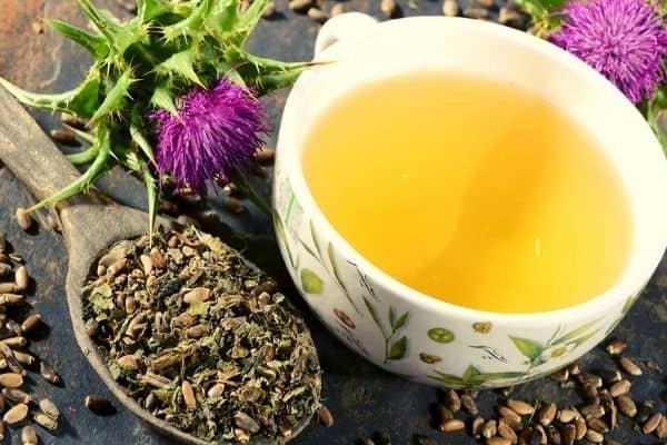 milk thistle tea in a cup