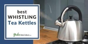 Best Whistling Tea Kettles in 2023 Reviewed