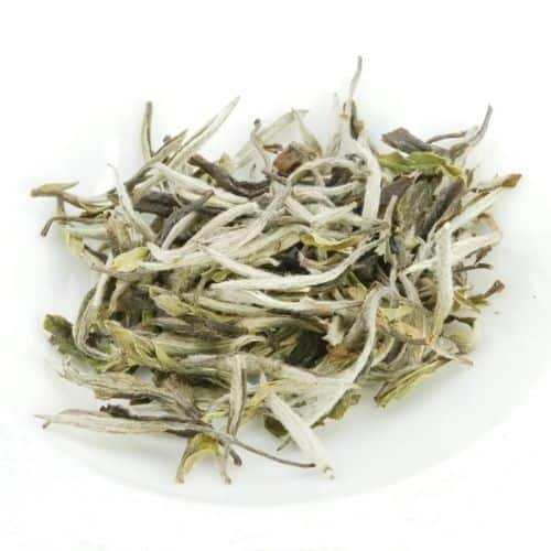 White Tea Caffeine Content - Here Are the Facts