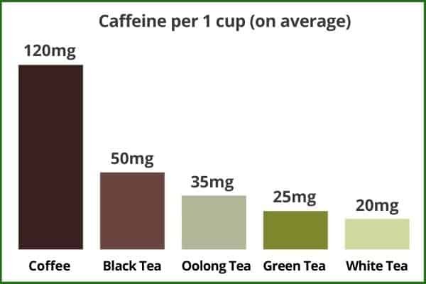 White tea caffeine content infographic