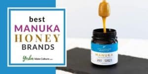 6 Best Manuka Honey Brands in 2023 Reviewed