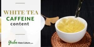 White Tea Caffeine Content - Here Are the Facts