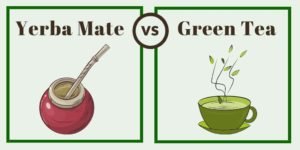 yerba mate vs green tea