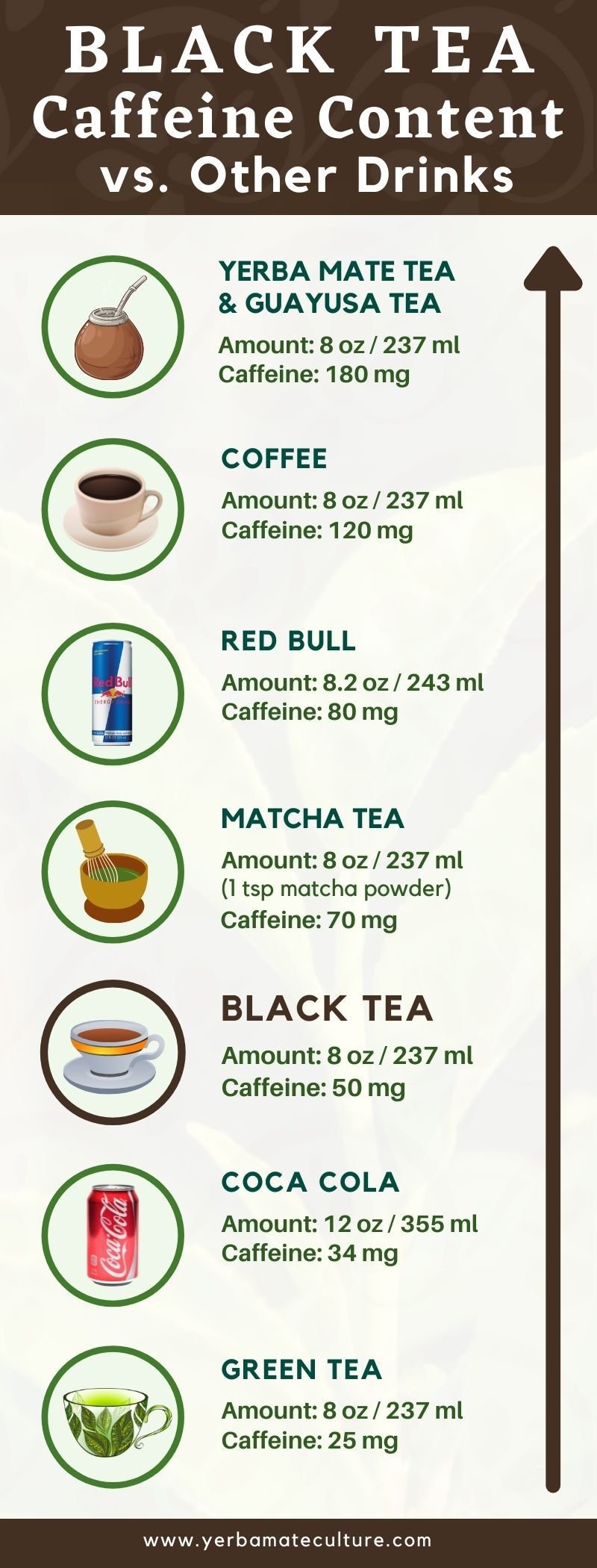 Black Tea Caffeine Content Compared to Other Drinks