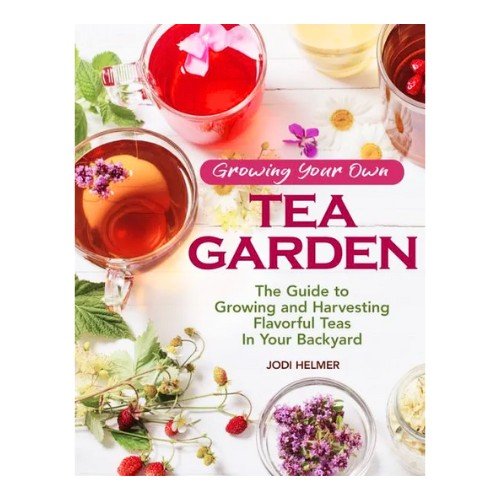 Growing Your Own Tea Garden