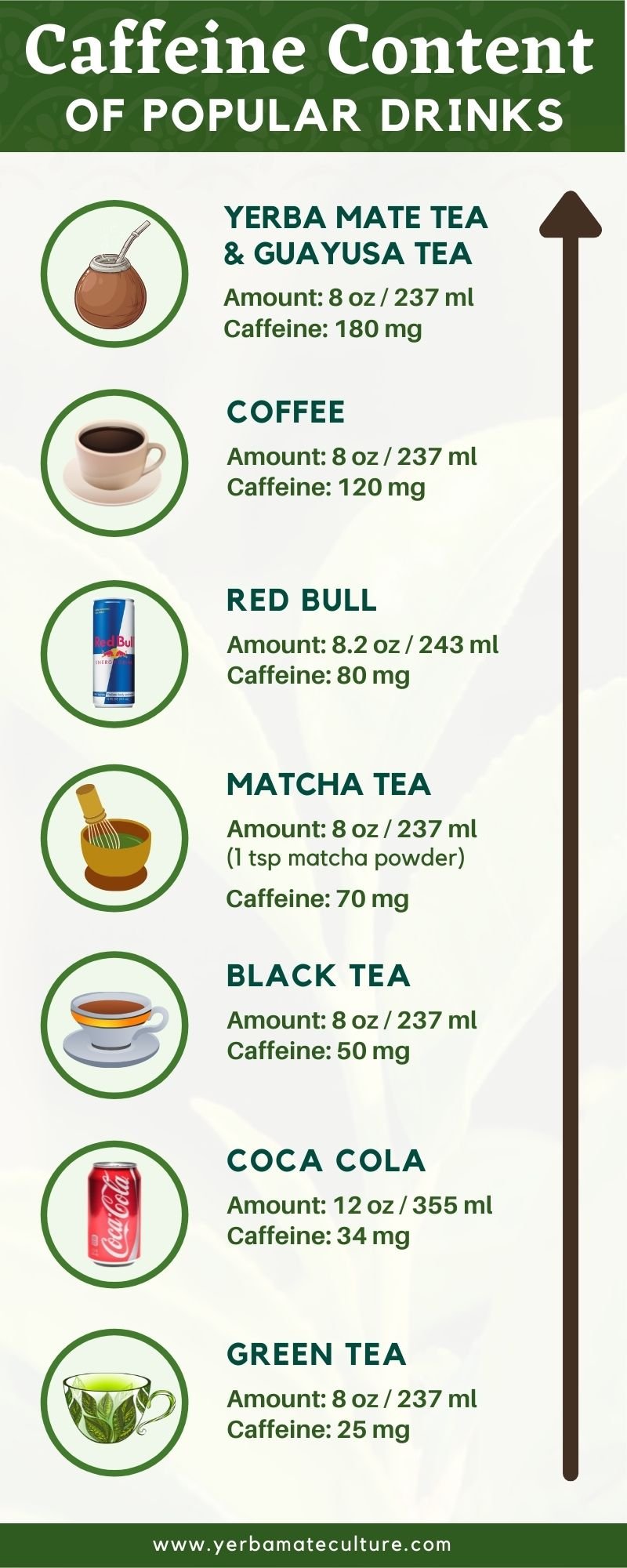 Which Tea Has The Most Caffeine 5 High Caffeine Teas   Caffeine Content Of Teas And Other Beverages Infographic 