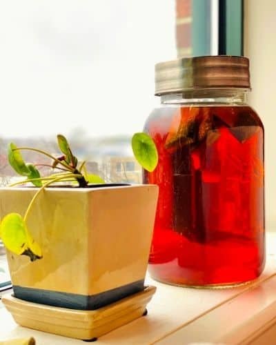 sun tea in a glass jar
