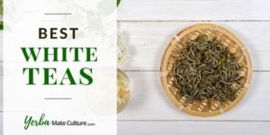 Find the Best White Tea Brands - Organic, Loose Leaf and Tea Bags