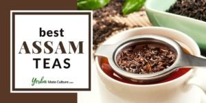 Find the Best Assam Tea Brands - Loose Leaf & Tea Bags