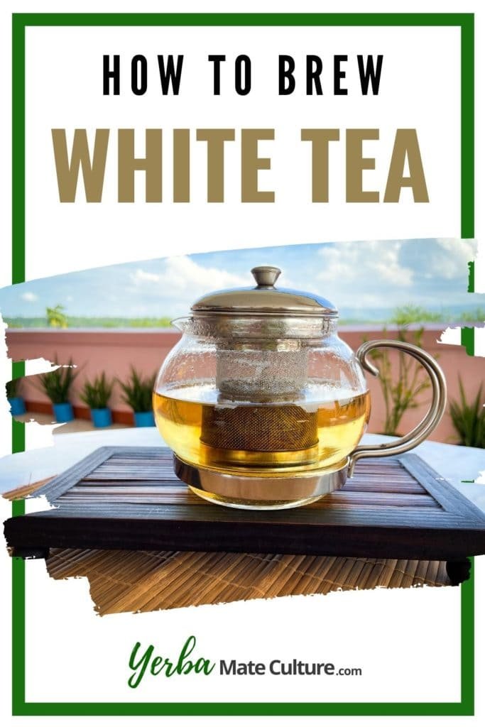 how to brew white tea pin