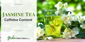 Does Jasmine Tea Have Caffeine? Here Are the Facts!