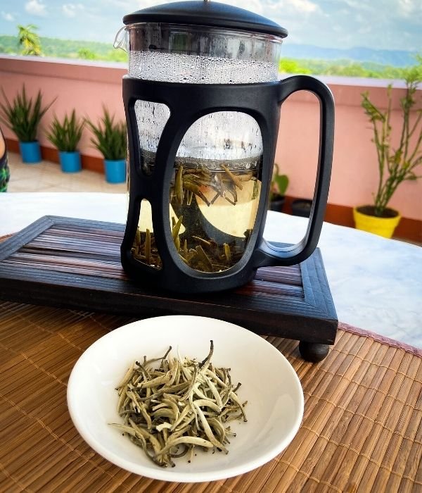 white tea in a French press