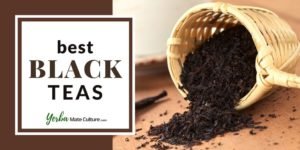 Best Black Tea Brands