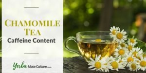 Does Chamomile Tea Have Caffeine? All You Need to Know!