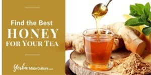 Find the Best Honey for Your Tea - Try These Combinations!