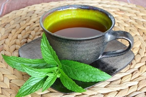 peppermint tea