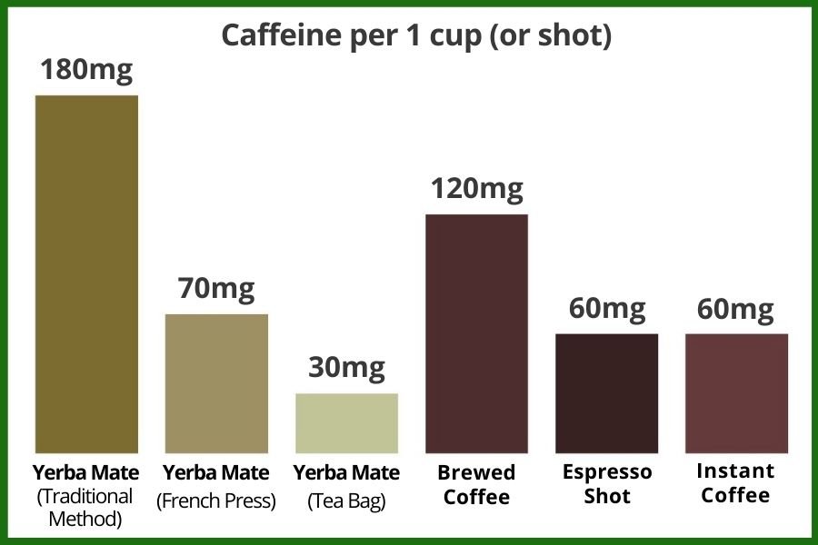 yerba mate vs coffee caffeine infographic