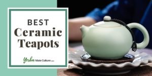 Best Ceramic Teapots in 2022 - Modern, Decorative, With Infuser, and More!