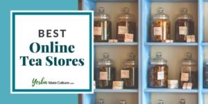 Best Online Tea Stores in 2023 Introduced