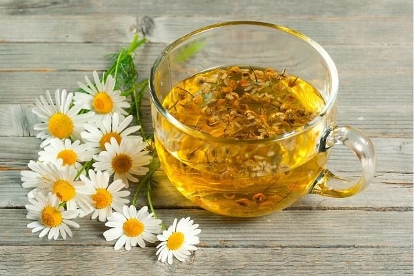 chamomile tea