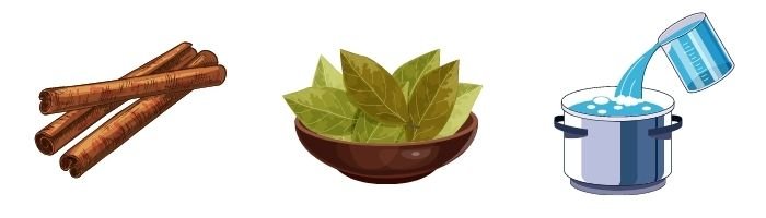 cinnamon bay leaves water saucepan