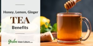 honey lemon ginger tea benefits