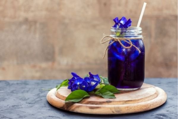 Butterfly Pea Tea