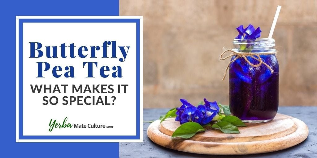 What Does Butterfly Pea Tea Taste Like? And How to Make It?