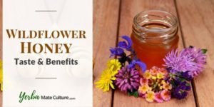 Raw Wildflower Honey - Amazing Benefits and Taste!