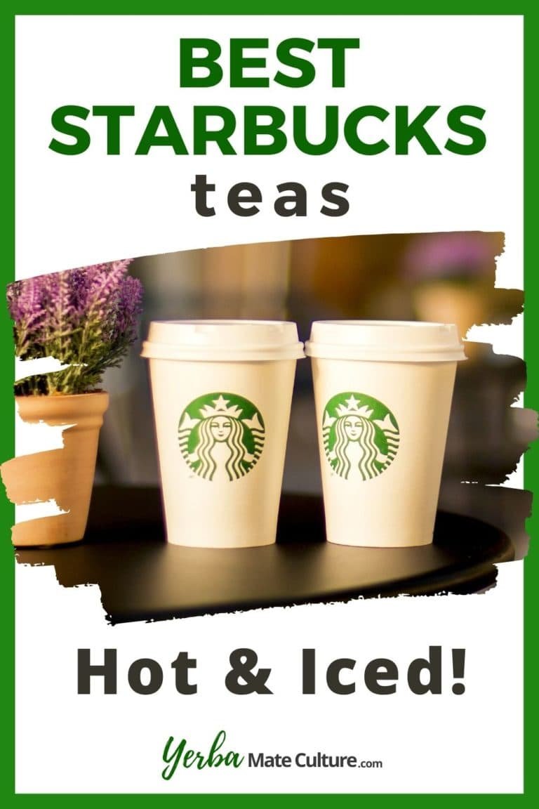 10 Best Starbucks Tea Drinks - Hot and Iced!