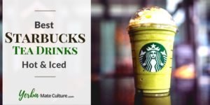 10 Best Starbucks Tea Drinks - Hot and Iced!