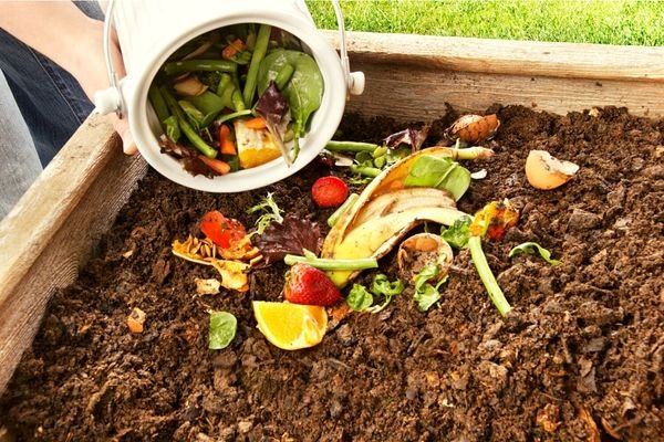vegetables being added to compost