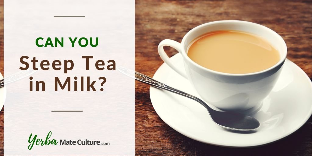 Can You Steep Tea in Milk