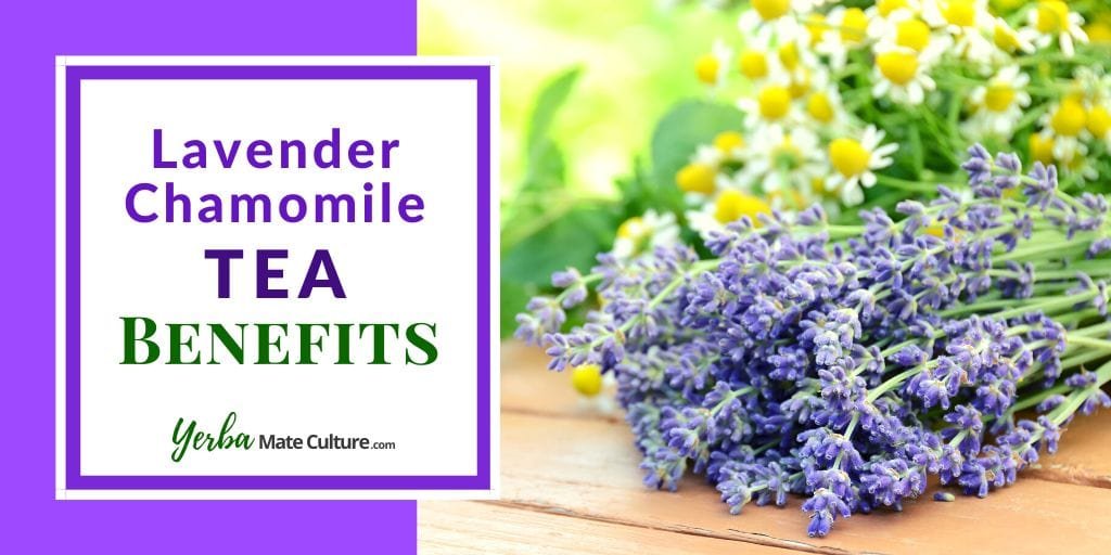 Lavender Chamomile Tea Benefits