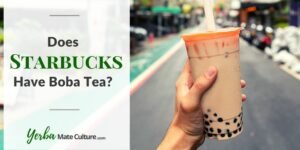 Does Starbucks Have Boba Tea in 2023? Read and Find Out!