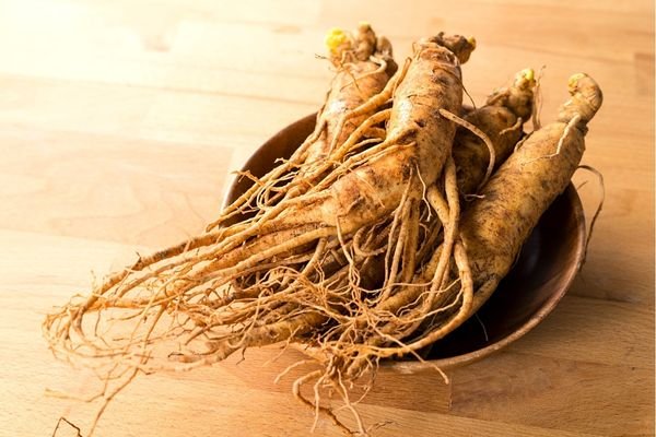 Ginseng root