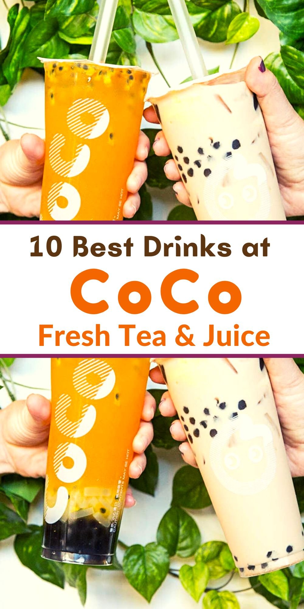 Coco Bubble Tea Best Seller Drinks