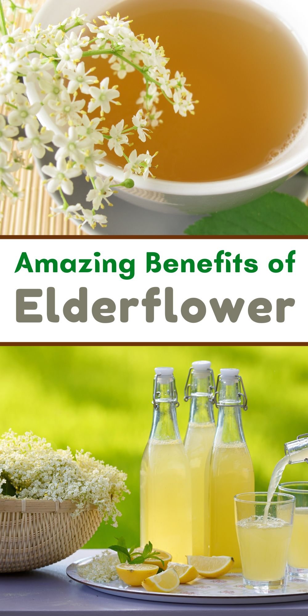 Elderflower Tea Benefits