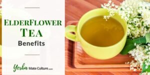 Elderflower Tea Benefits & Recipe - Flower Power in a Cup!