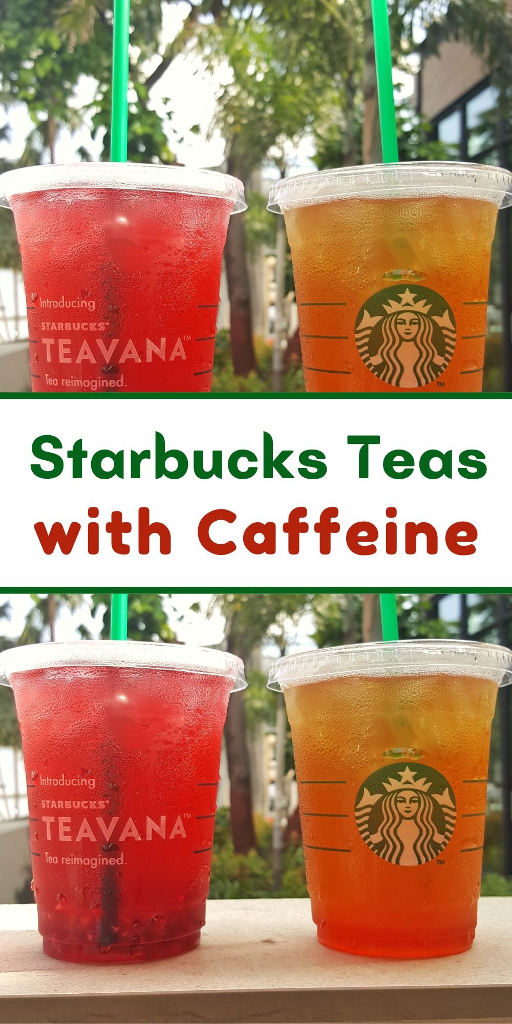 Starbucks Teas with Caffeine