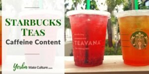 Starbucks Teas with Caffeine - Ranked from Highest to Lowest