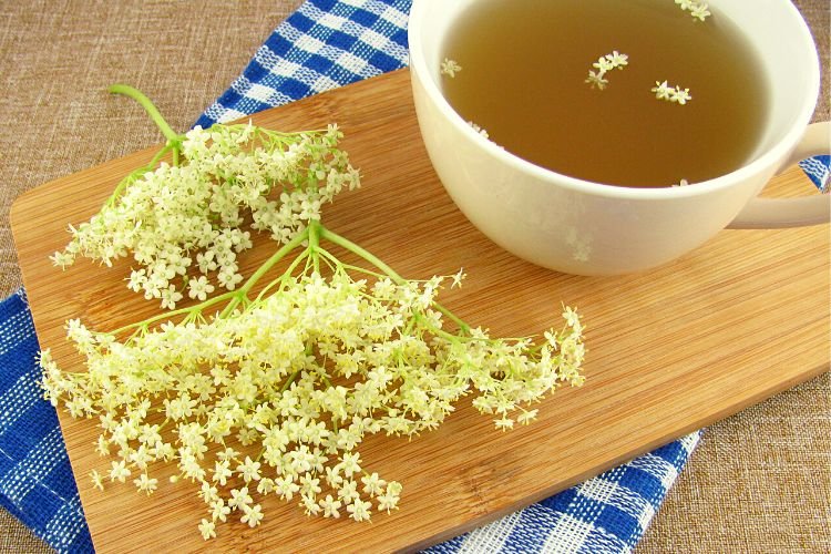 a cup of elderflower tea