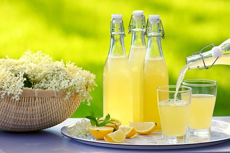 elderflower cordial