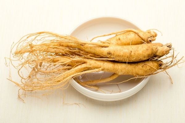 ginseng root