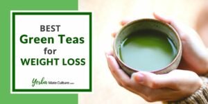 5 Best Green Tea Brands for Weight Loss in 2023