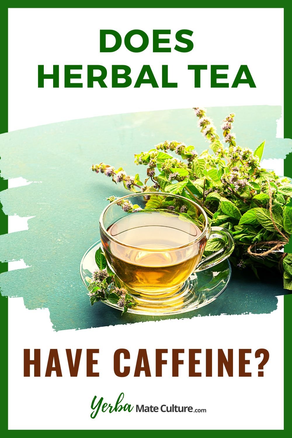 Do Herbal Teas Have Caffeine