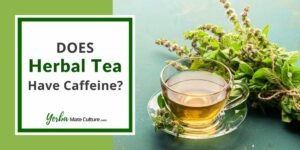 Does Herbal Tea Have Caffeine? Not All Are Caffeine-Free!