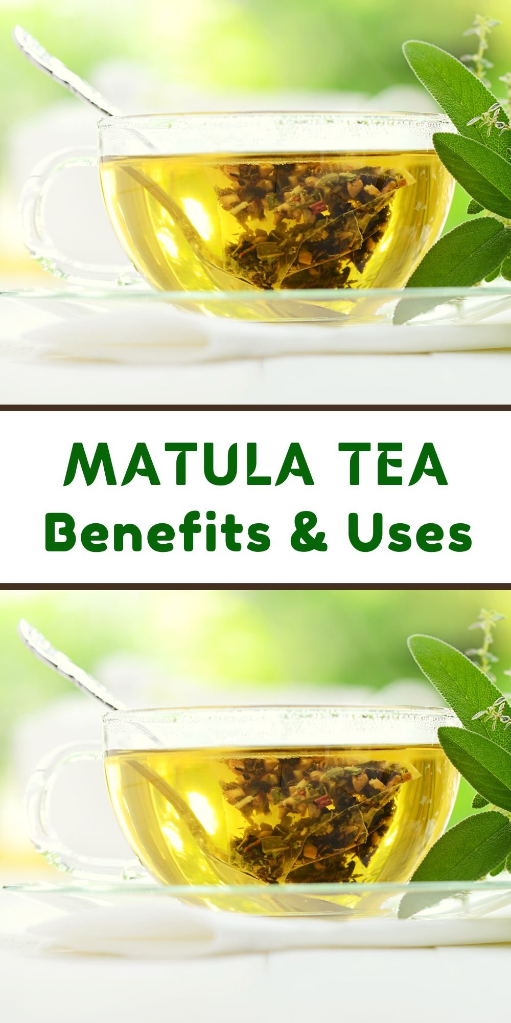 Matula tea