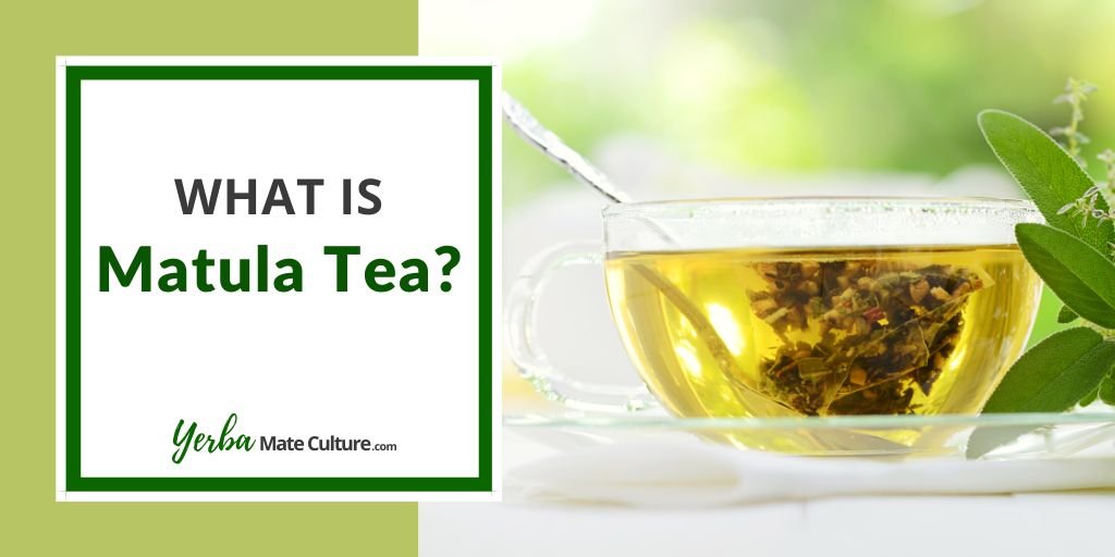 What is Matula tea